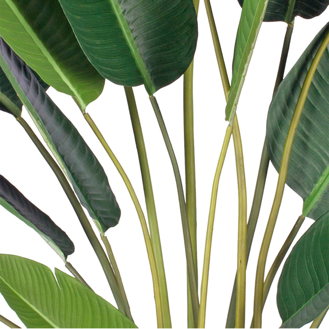 220cm Birds of Paradise Artificial Plant