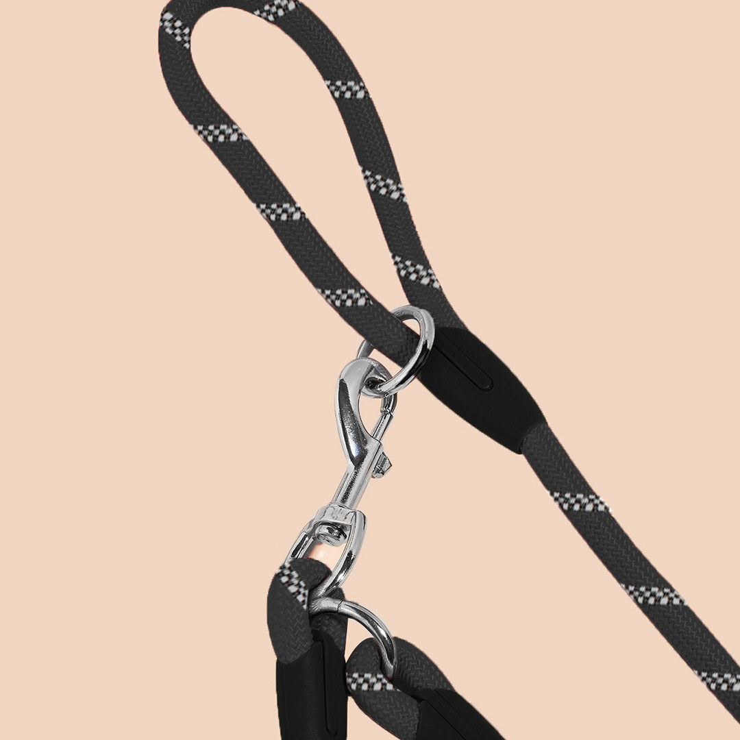 220cm Black Multifunction Pet Leash