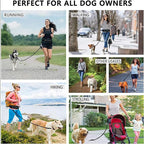 Orange Adjustable Pet Leash