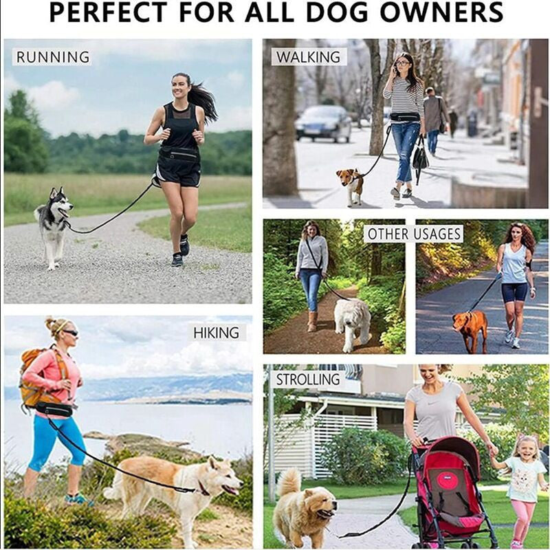Orange Adjustable Pet Leash