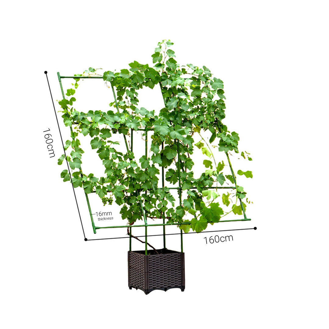 160cm Inclined Plant Frame