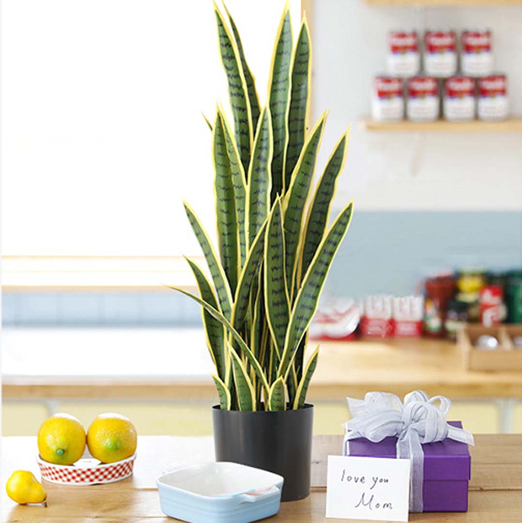 95cm Artificial Yellow Edge Tiger Piran Plant