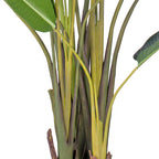 245cm Birds of Paradise Artificial Plant