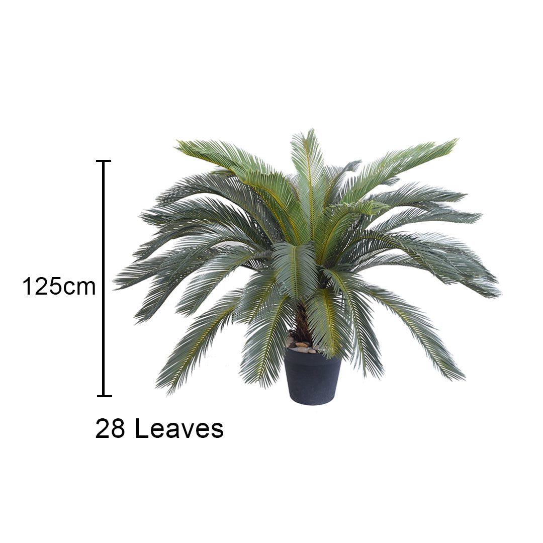 155cm Artificial Cycas Revoluta Plant