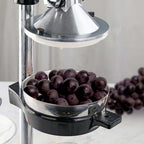 Stainless Steel Manual Juicer Squeezer Black