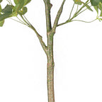 160cm Schefflera Artificial Plant