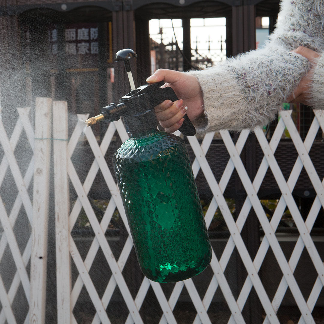 2L Handheld Water Spray Bottle with Top Pump