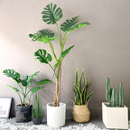 175cm Artificial Indoor Turtle Back Tree
