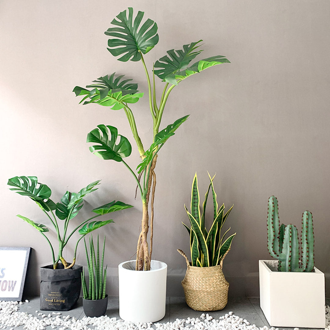 175cm Artificial Indoor Turtle Back Tree