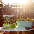 49.5cm Green Rectangular Vegetable Herb Flower Planter Box Set of 5