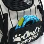 Black Portable Backpack Pet Carrier Breathable Mesh