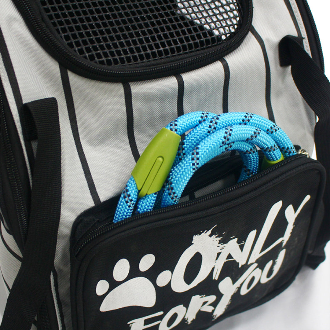 Black Portable Backpack Pet Carrier Breathable Mesh