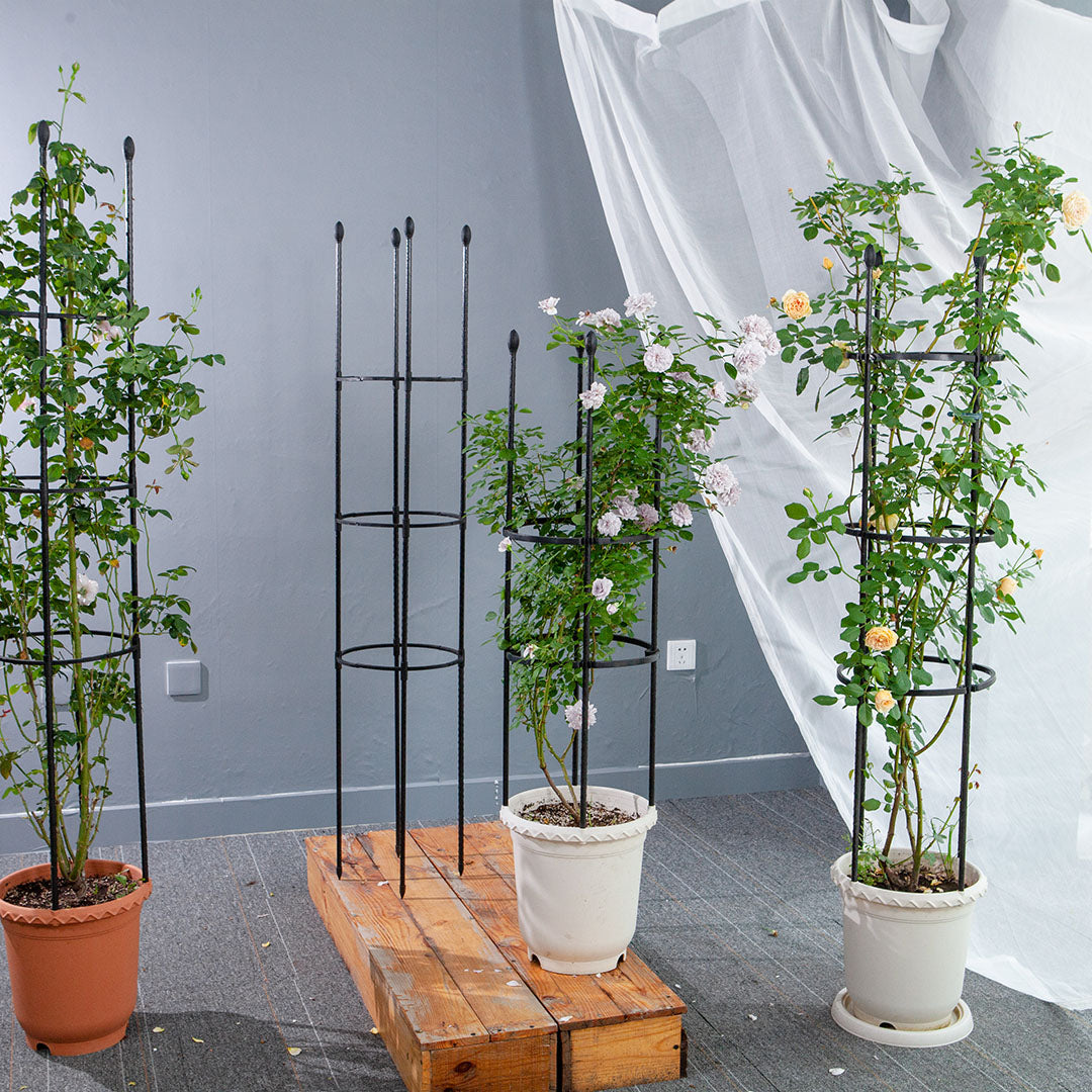 103cm 4-Bar Plant Frame Stand