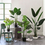 120cm Artificial Turtle Back Plant