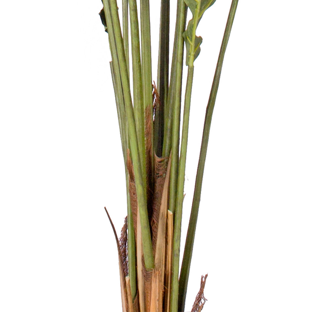 210cm Artificial Rogue Areca Palm Tree