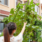 160cm Inclined Plant Frame