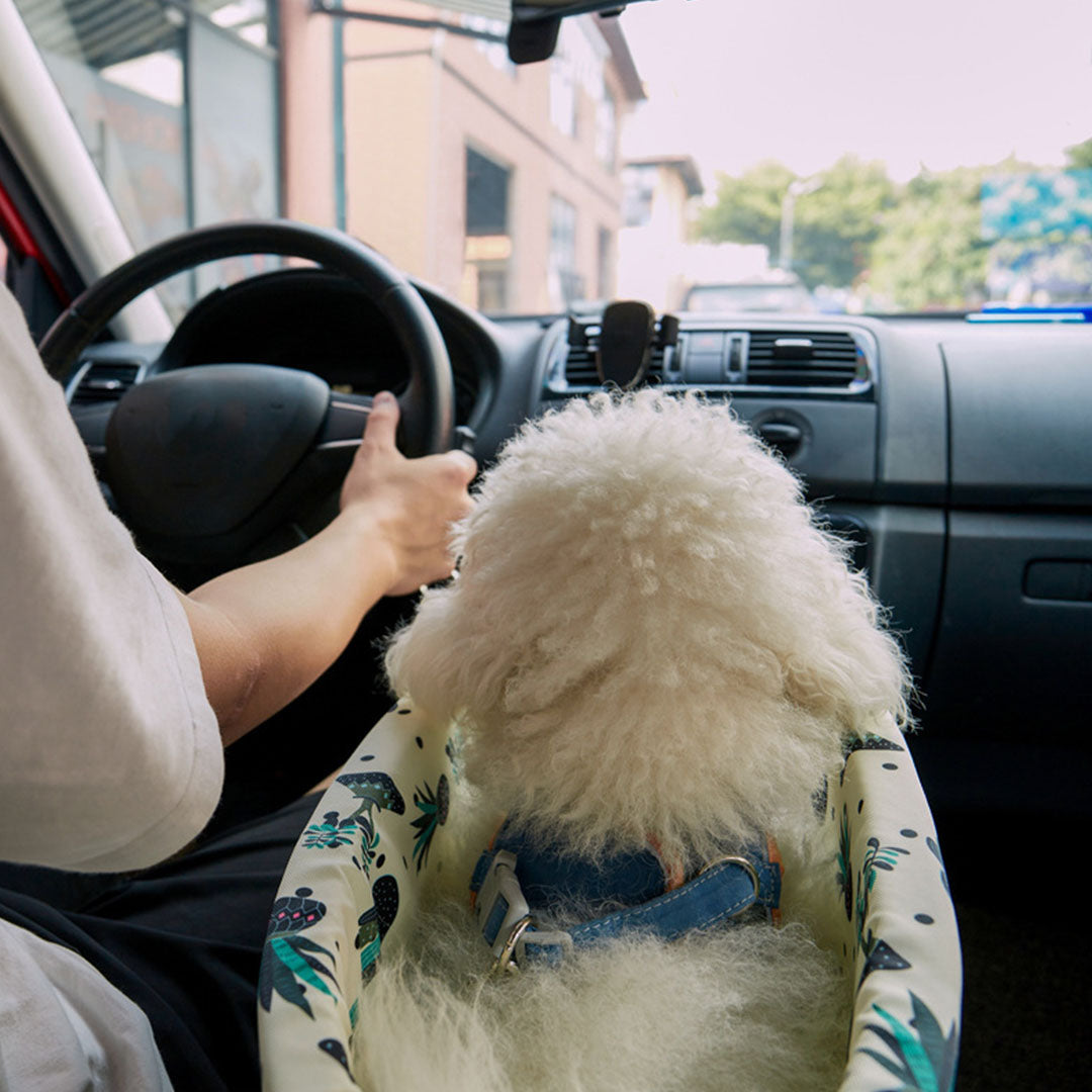 Car Pet Bag with Botanical Print