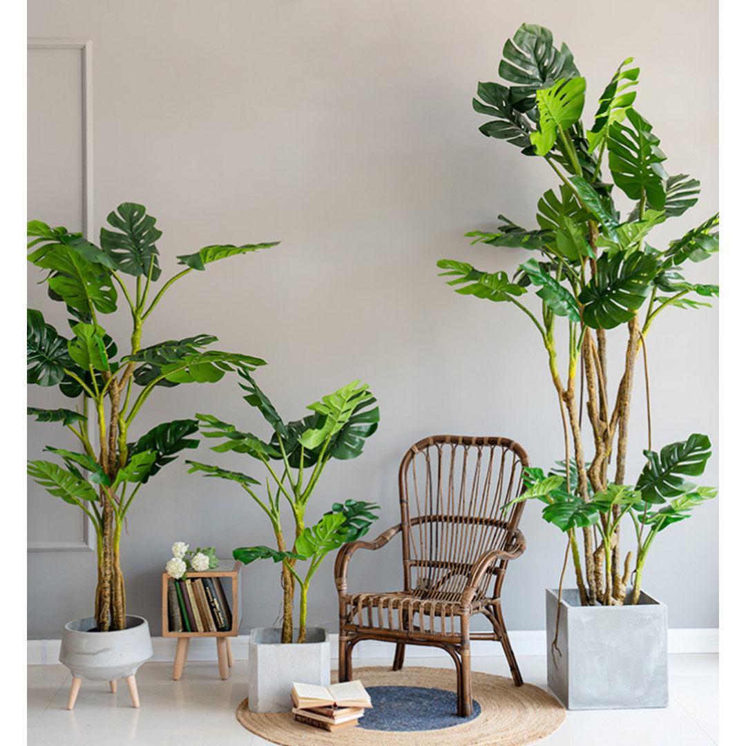 175cm Artificial Indoor Turtle Back Tree