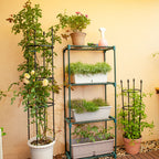 133cm 4-Bar Plant Frame Stand