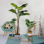 175cm Artificial Indoor Turtle Back Tree