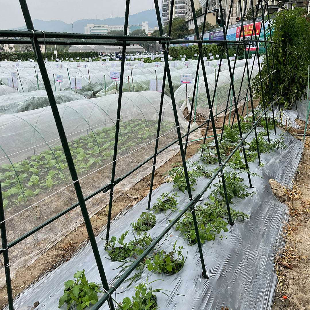90cm Plant Frame Tube Trellis