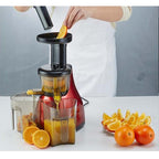 Cold Press Slow Juicer Green