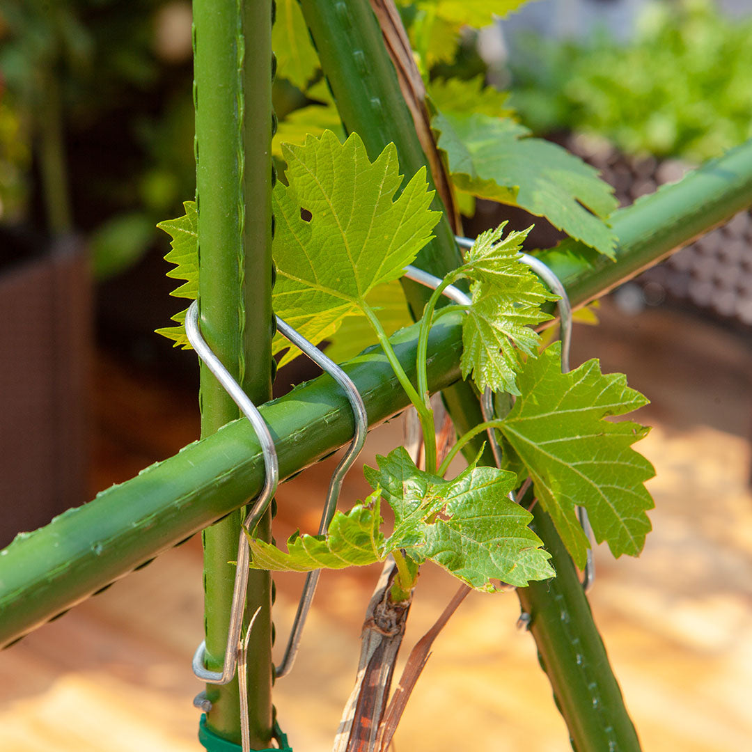 160cm Inclined Plant Frame