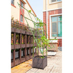 160cm Inclined Plant Frame