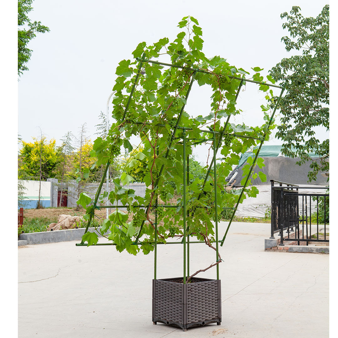 160cm Inclined Plant Frame