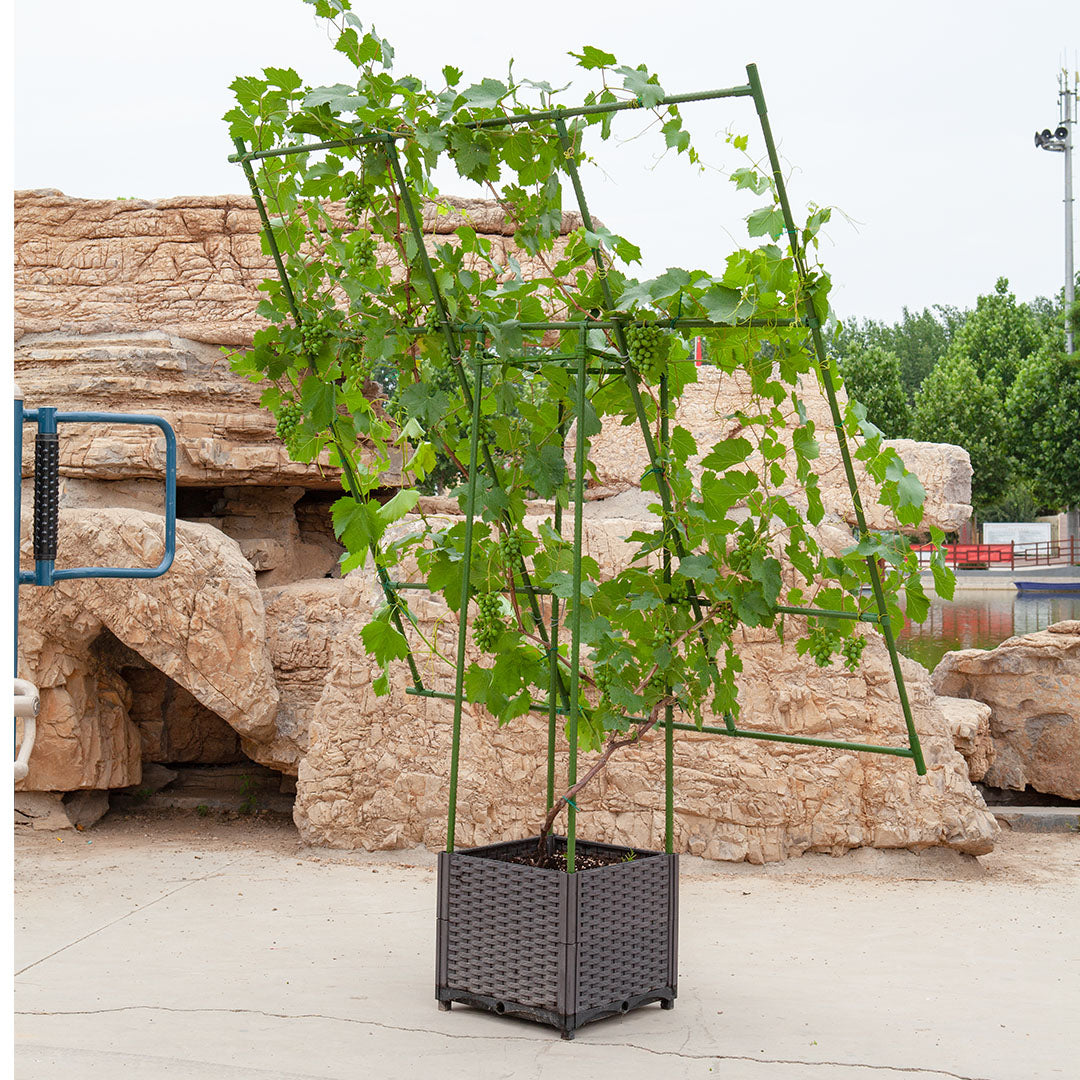 160cm Inclined Plant Frame